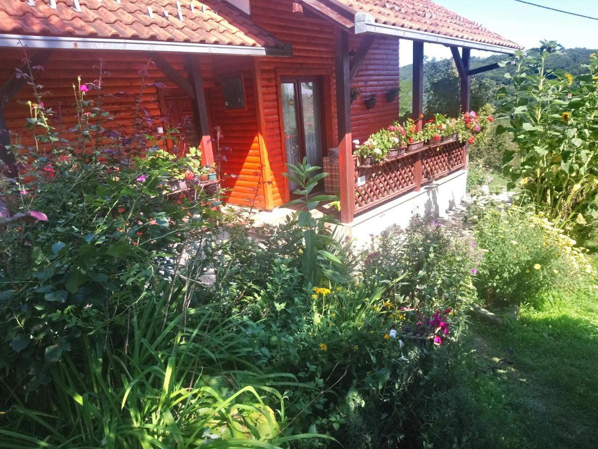 Guest House Little Heaven Užice Εξωτερικό φωτογραφία